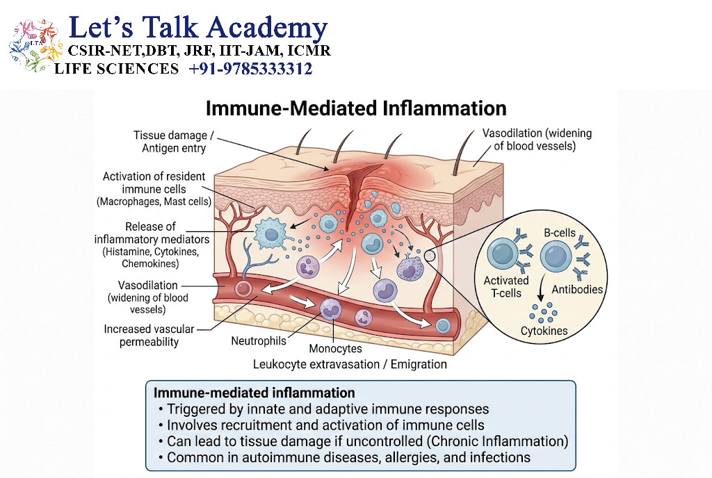 Immune-Mediated Inflammation