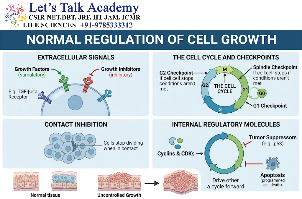 Normal Regulation of Cell Growth