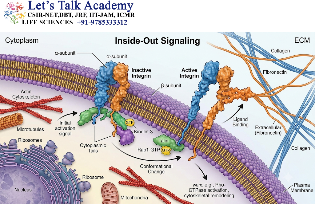 Inside-Out Signaling