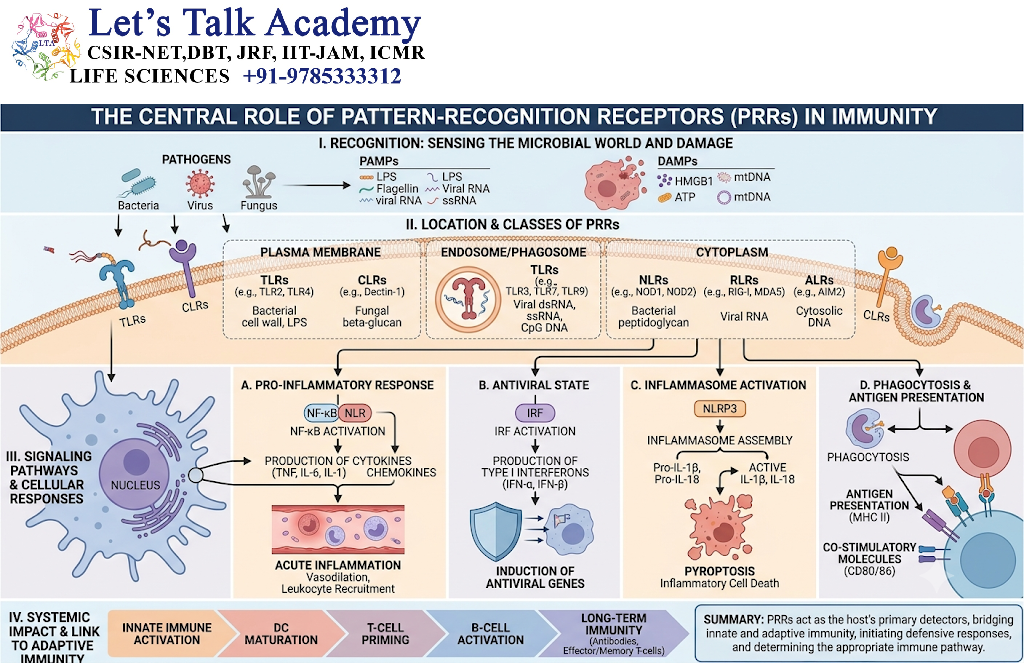 Role of Pattern-Recognition Receptors