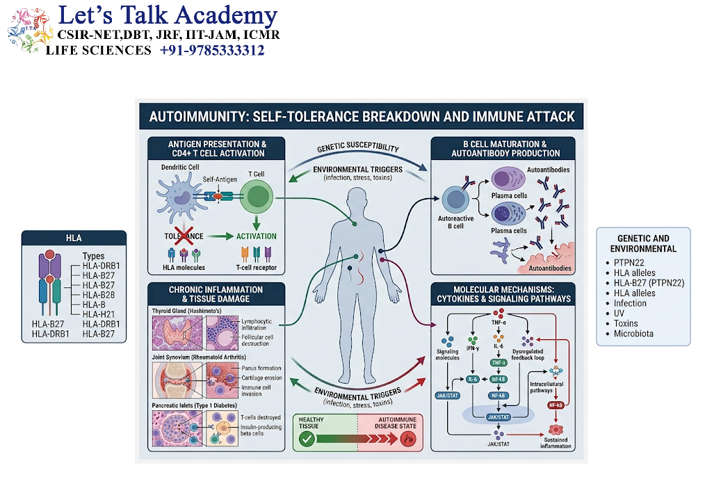 Autoimmunity