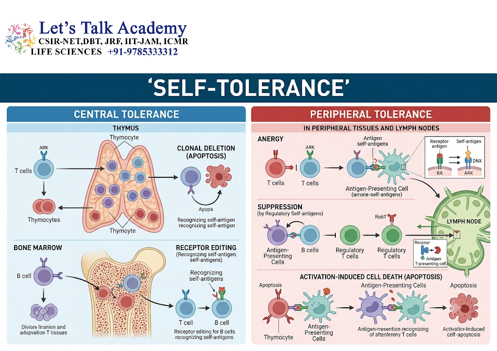 Self-Tolerance