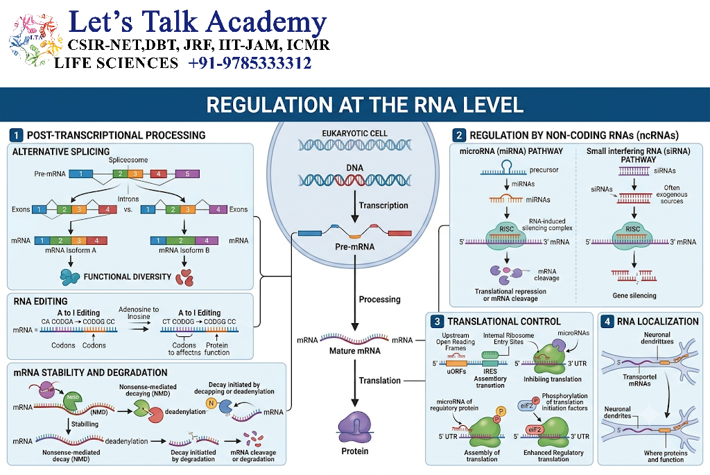 Regulation at the RNA Level