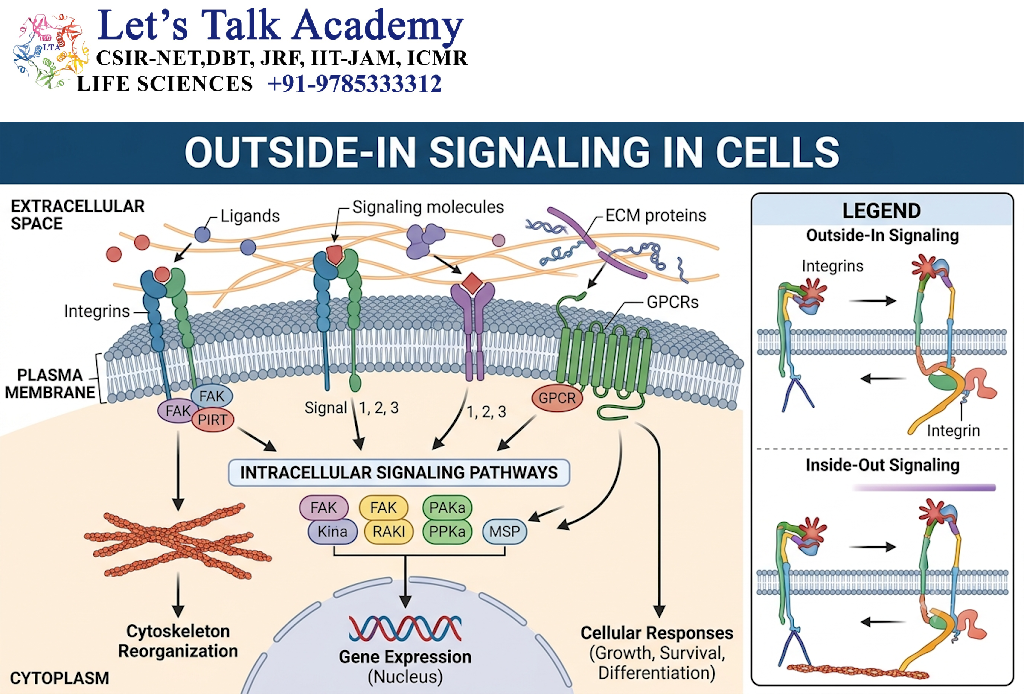 Outside-In Signaling