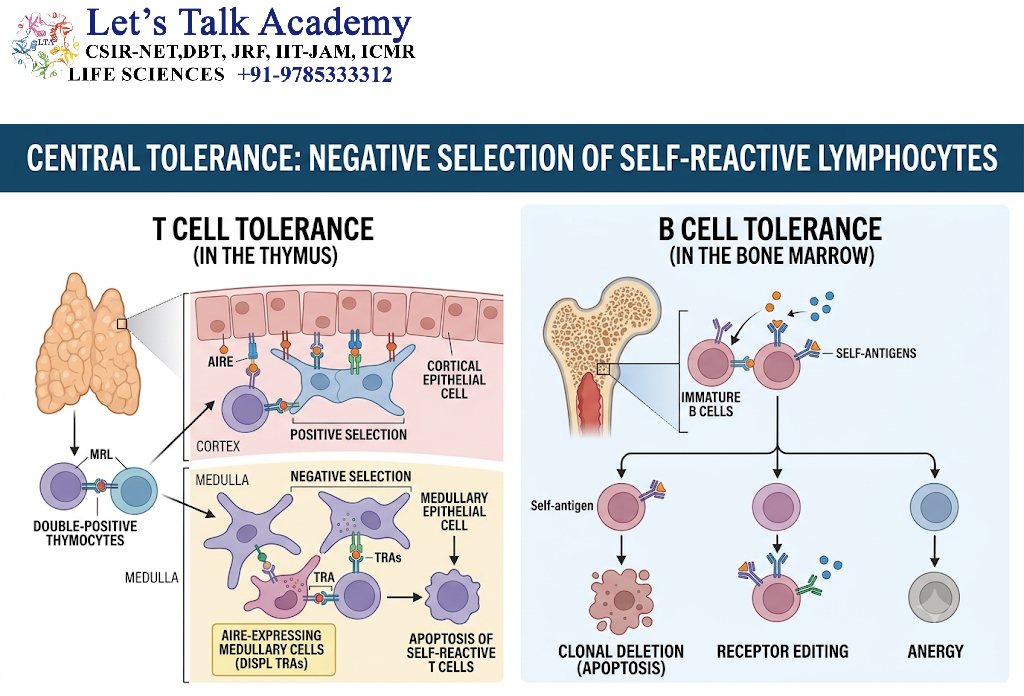 Central Tolerance