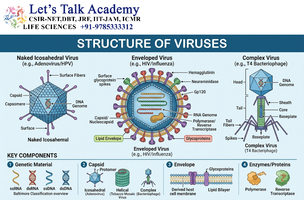 Structure of Viruses