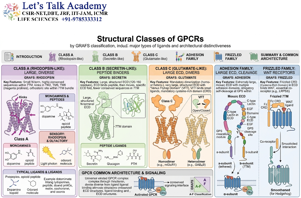 Structural Classes of GPCRs