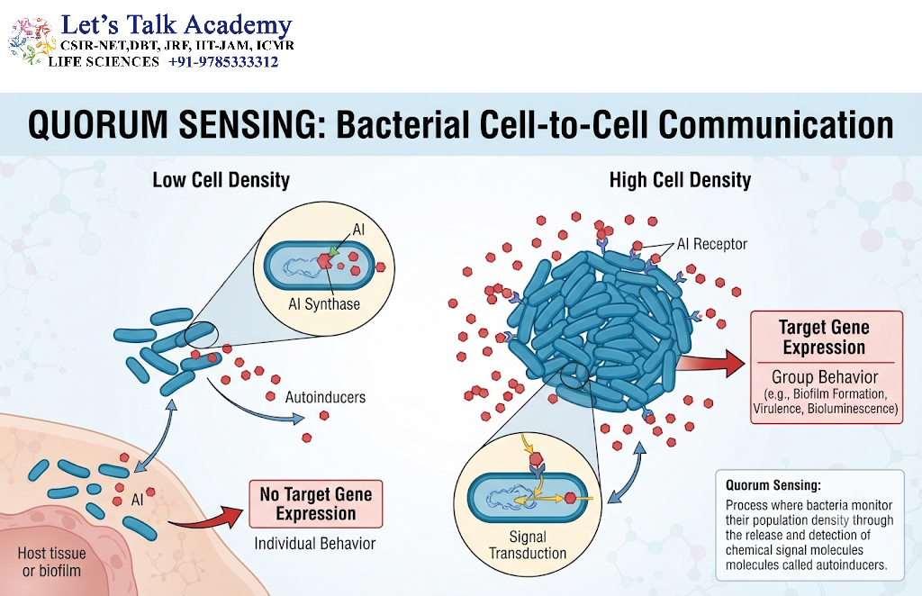 Quorum Sensing