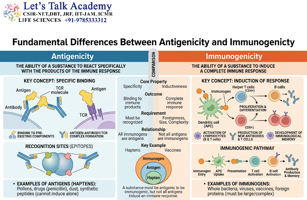 Fundamental Differences Between Antigenicity and Immunogenicity