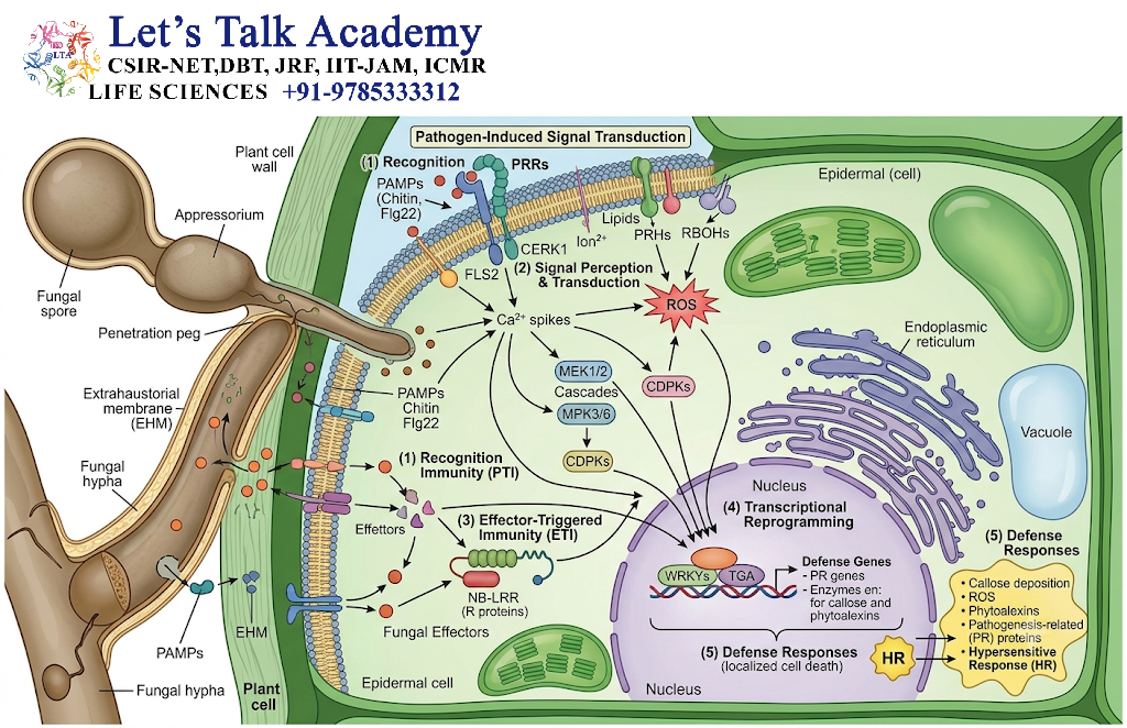 Pathogen-Induced Signal Transduction