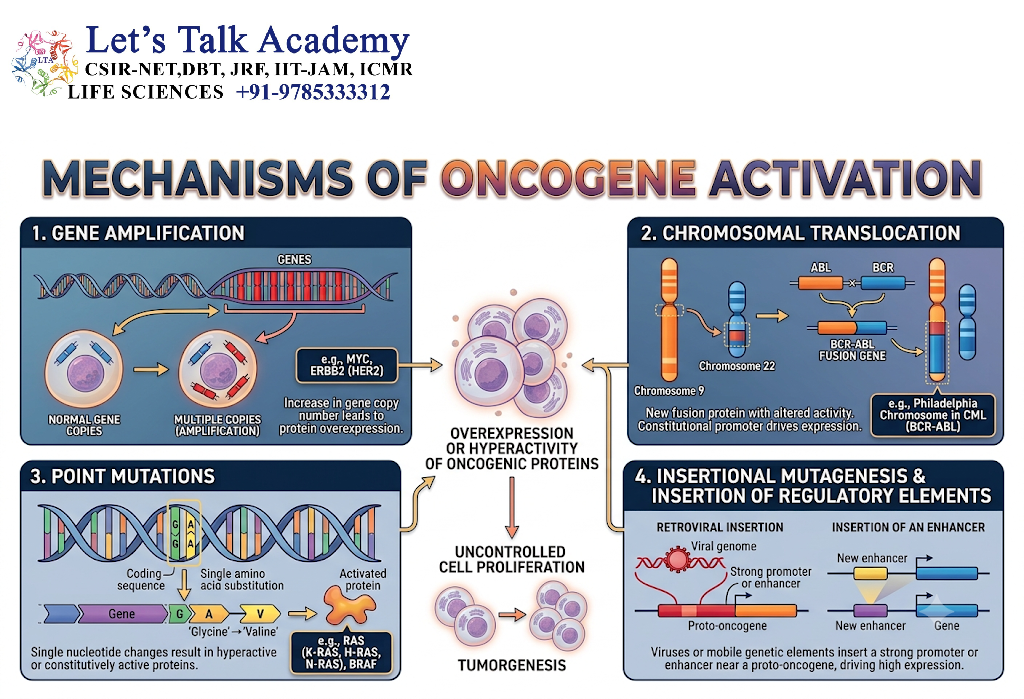 Mechanisms of Oncogene Activation