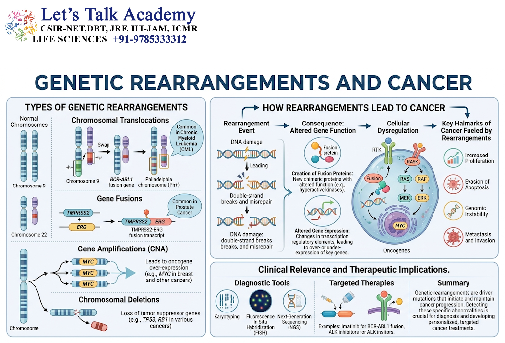 Genetic Rearrangements and Cancer