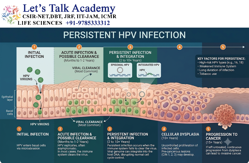 Persistent HPV Infection