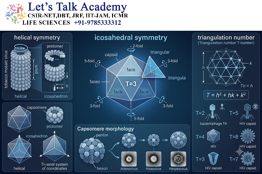 Viral Symmetry and Capsid Architecture