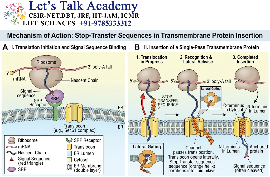 Stop-Transfer Sequences