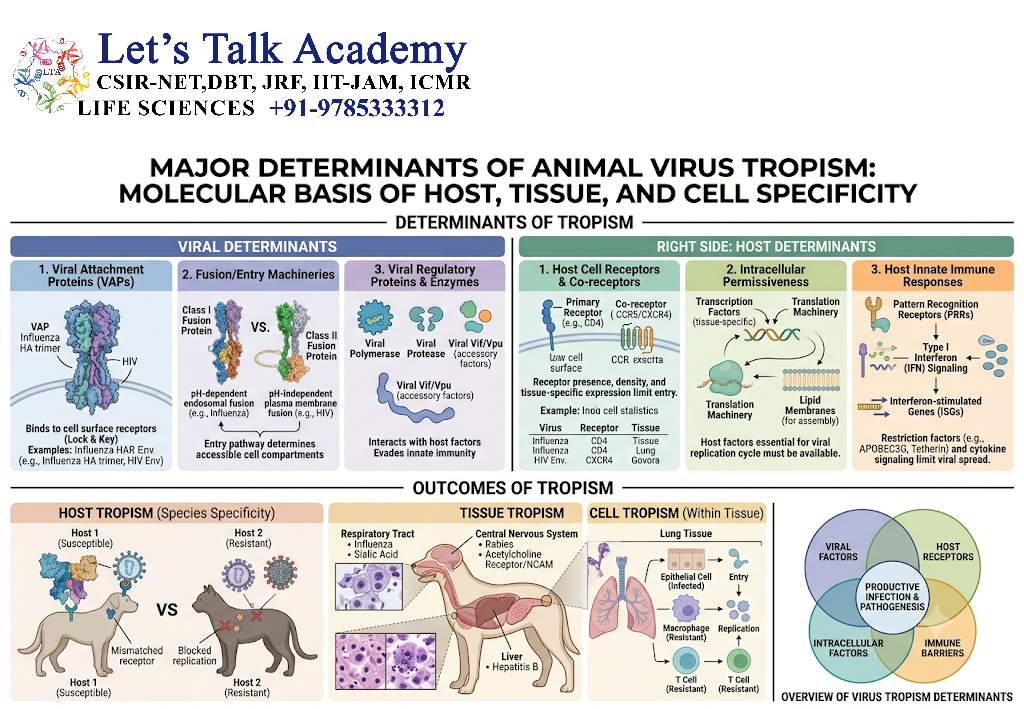 Determinants of Animal Virus Tropism