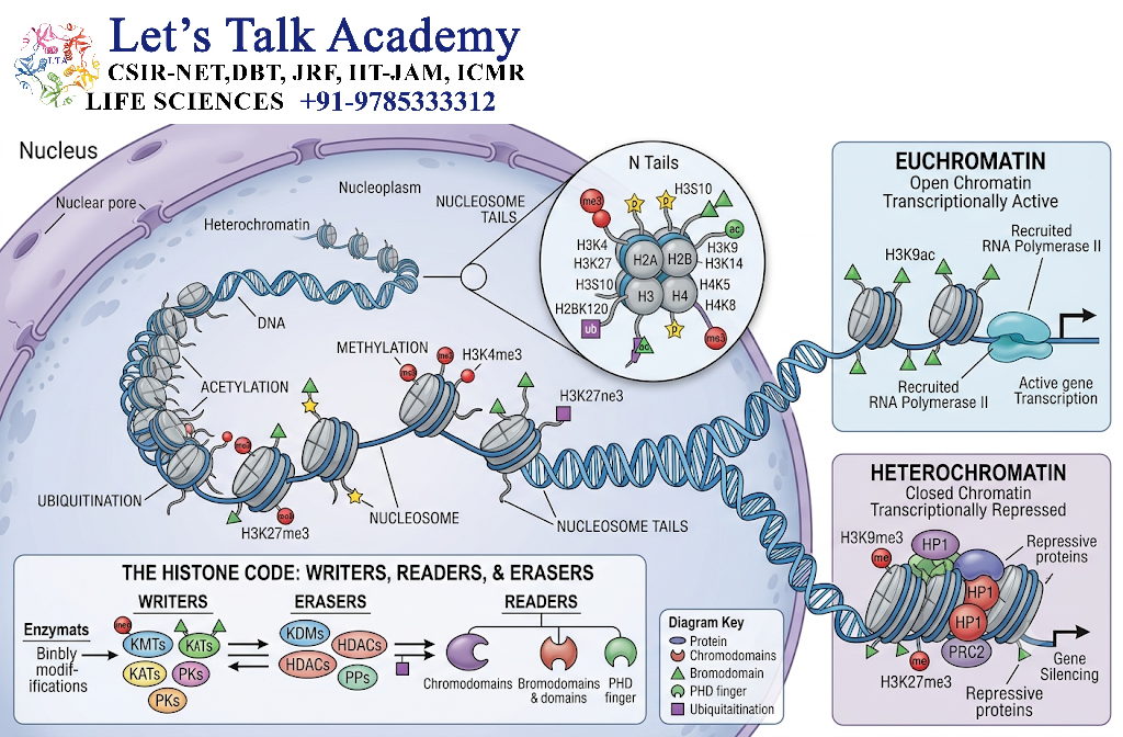 Histone Code