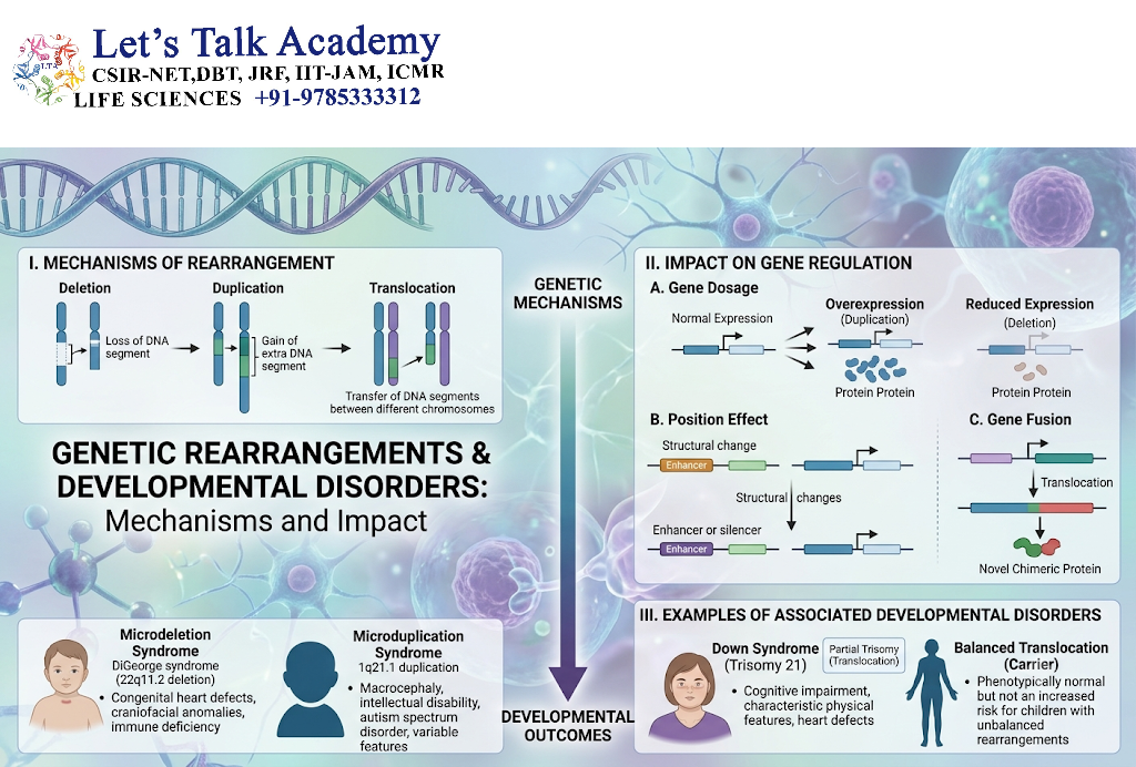 Genetic Rearrangements and Developmental Disorders