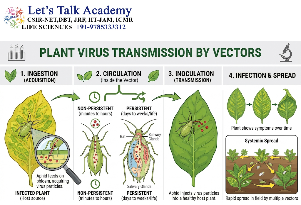 Plant Virus Transmission by Vectors