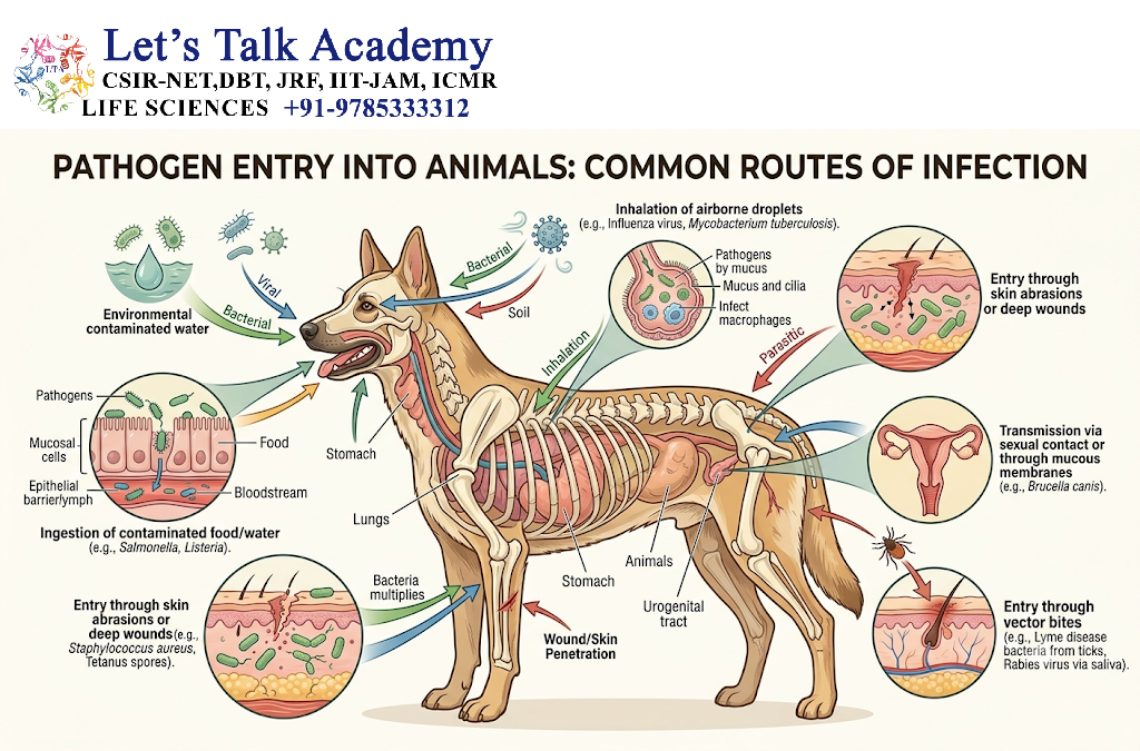 Pathogen Entry into Animals