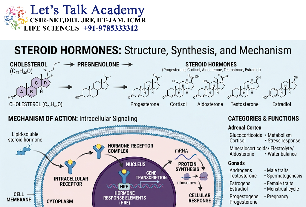 Steroid Hormones