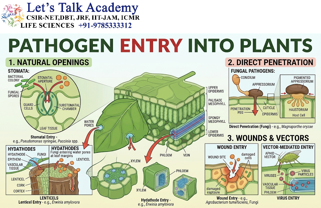 Pathogen Entry into Plants