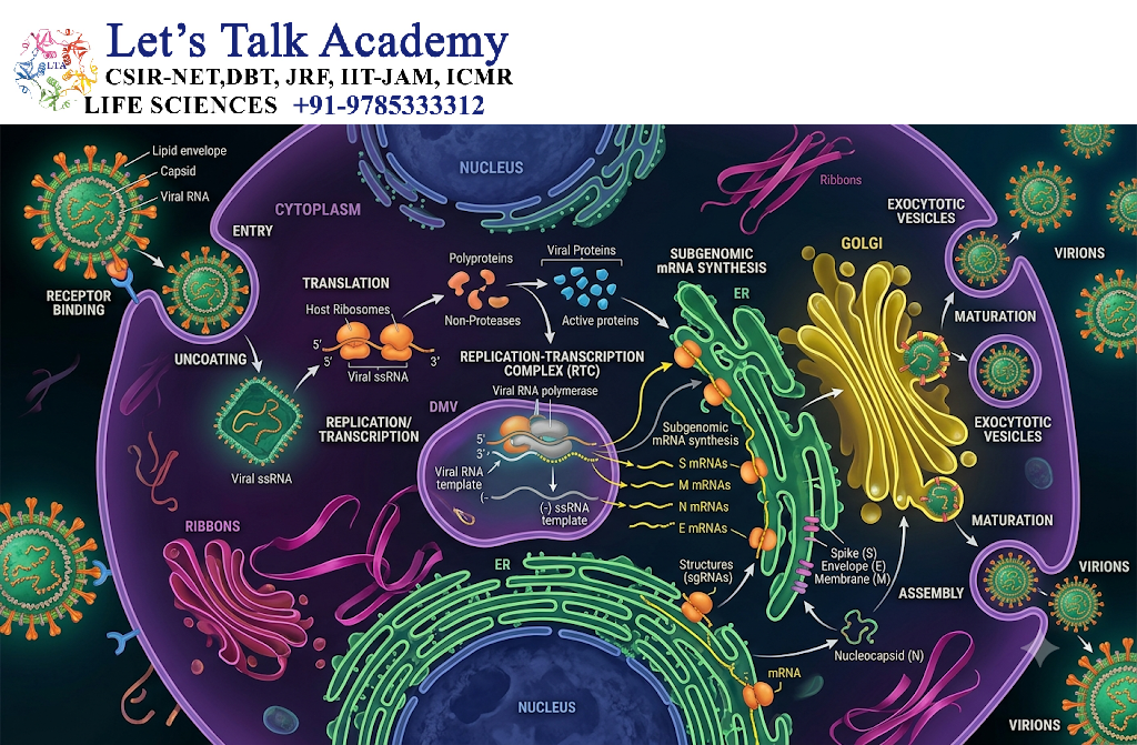 Viral Gene Expression