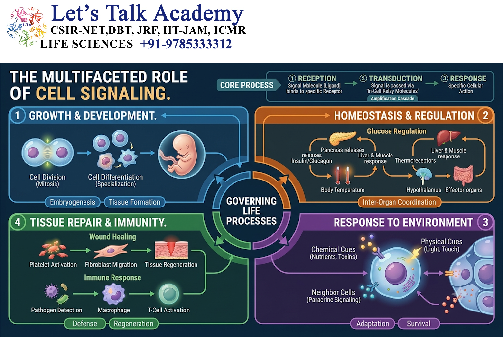 Role of Cell Signaling