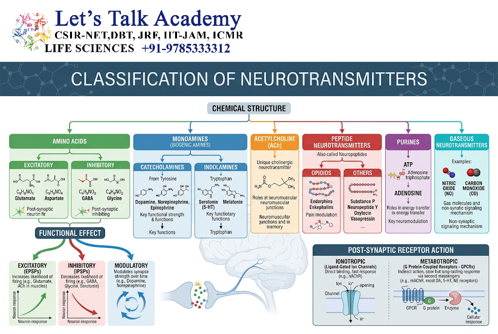 Classification of Neurotransmitters