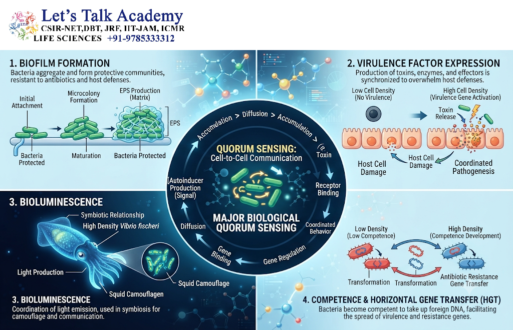 Major Biological Functions of Quorum Sensing