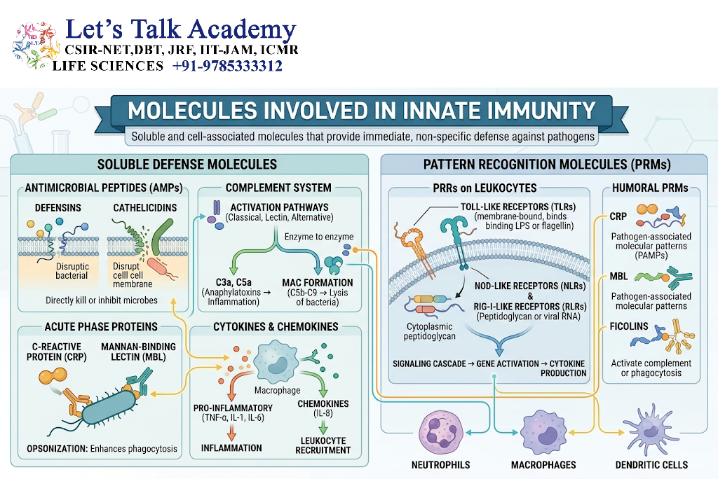 Molecules Involved in Innate Immunity