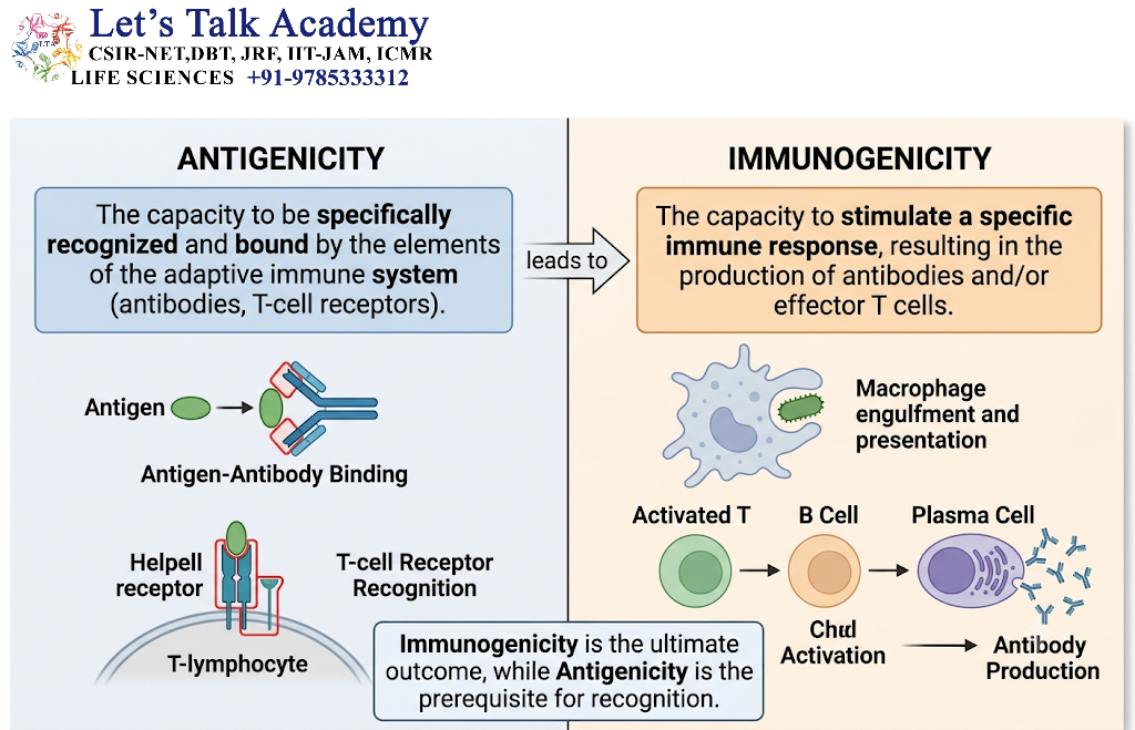 Antigenicity and Immunogenicity