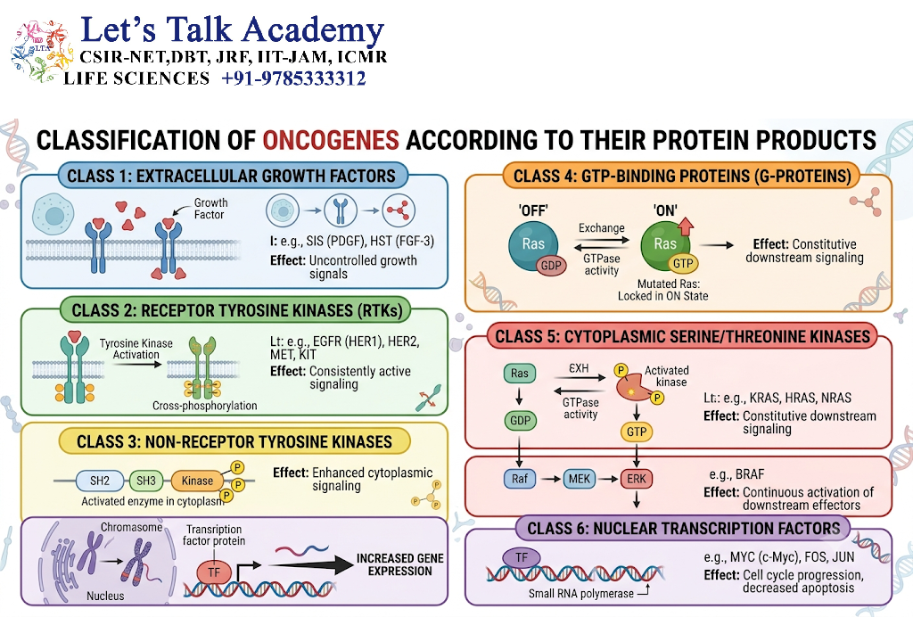 Classification of Oncogenes According to Their Protein Products