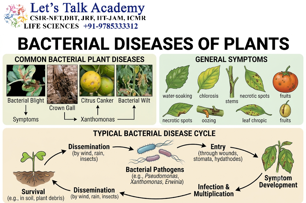Bacterial Diseases of Plants
