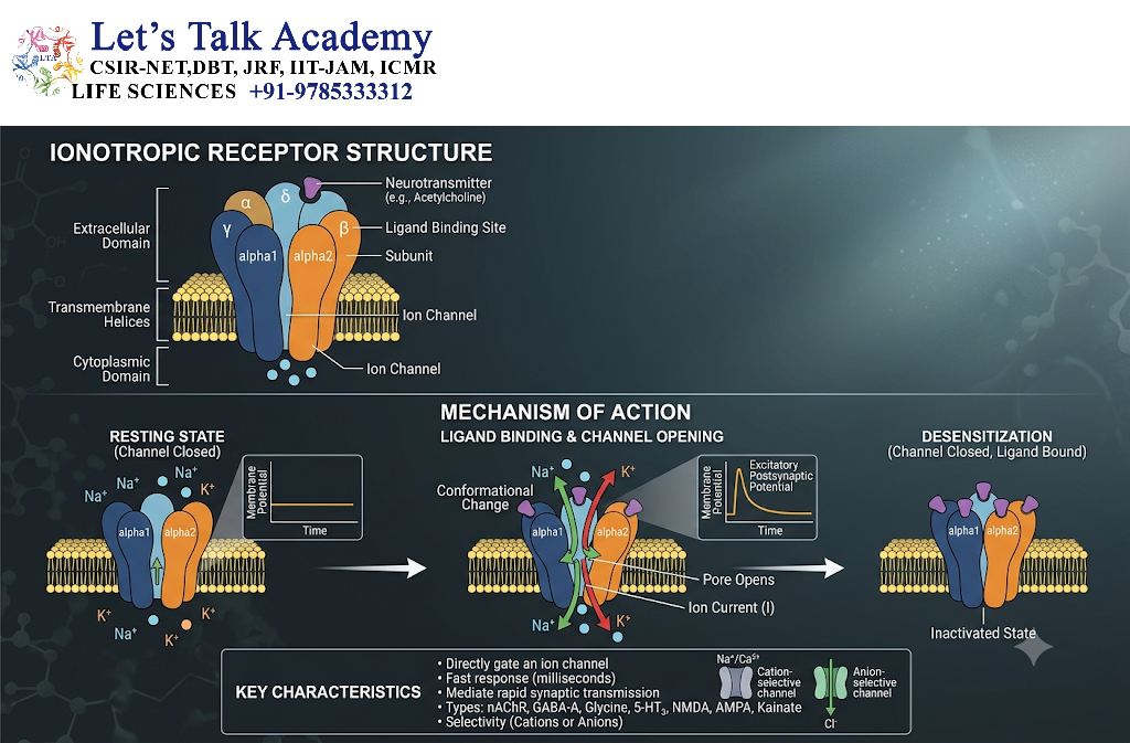 Ionotropic Receptors