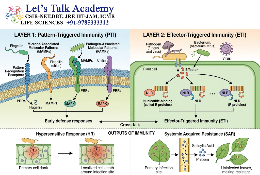 Plant Immune Responses Against Pathogens