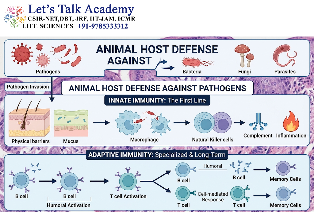 Animal Host Defense Against Pathogens