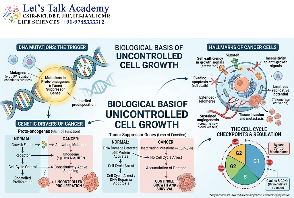 Biological Basis of Uncontrolled Cell Growth