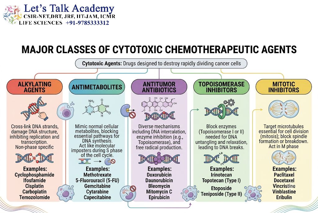 Major Classes of Cytotoxic Chemotherapeutic Agents