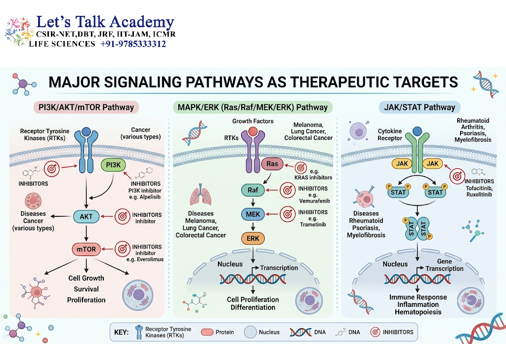 Major Signaling Pathways as Therapeutic Targets