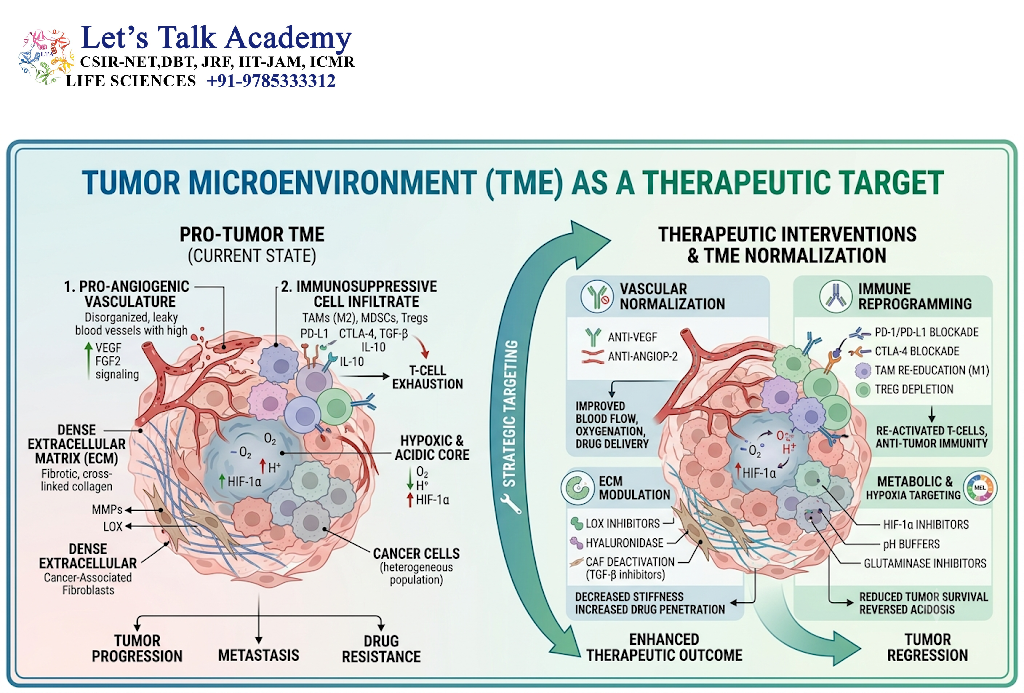Tumor Microenvironment as a Therapeutic Target