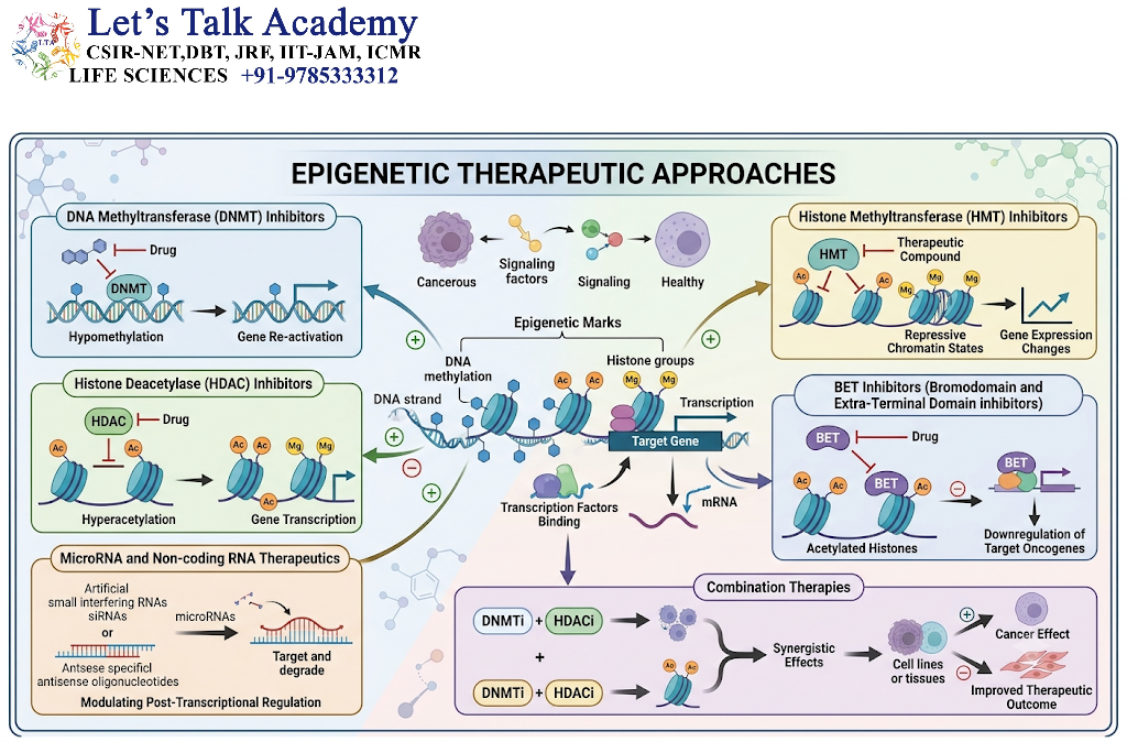 Epigenetic Therapeutic Approaches