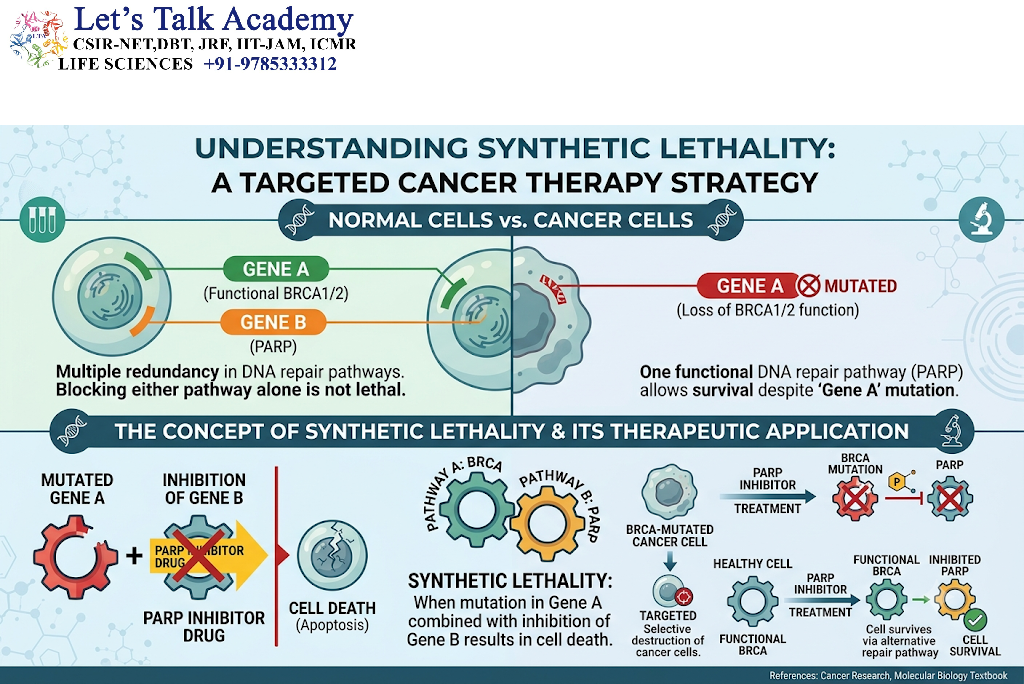 Synthetic Lethality