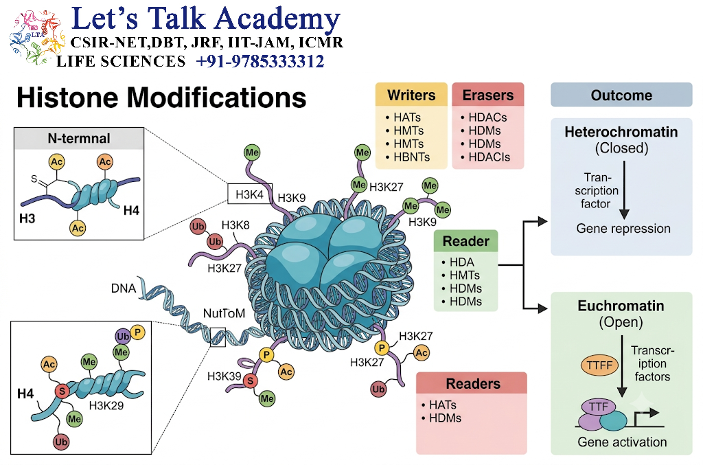 Histone Modifications