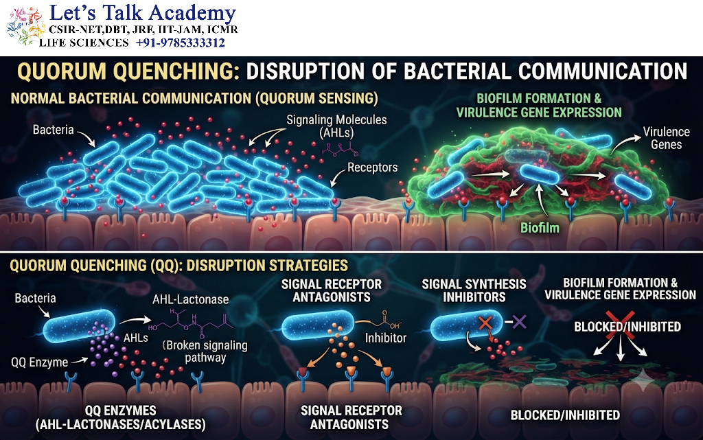 Quorum Quenching: Disruption of Bacterial Communication