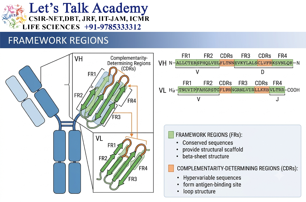 Framework Regions
