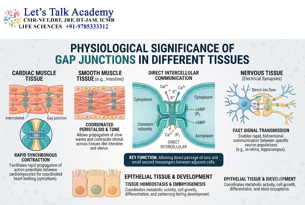 Physiological Significance of Gap Junctions in Different Tissues