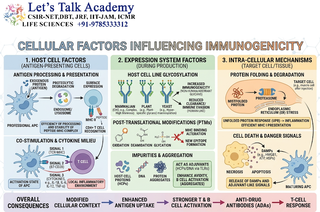 Cellular Factors Influencing Immunogenicity