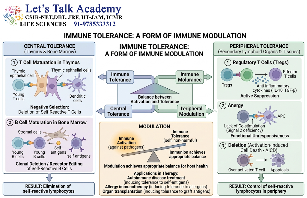 Immune Tolerance as a Form of Immune Modulation