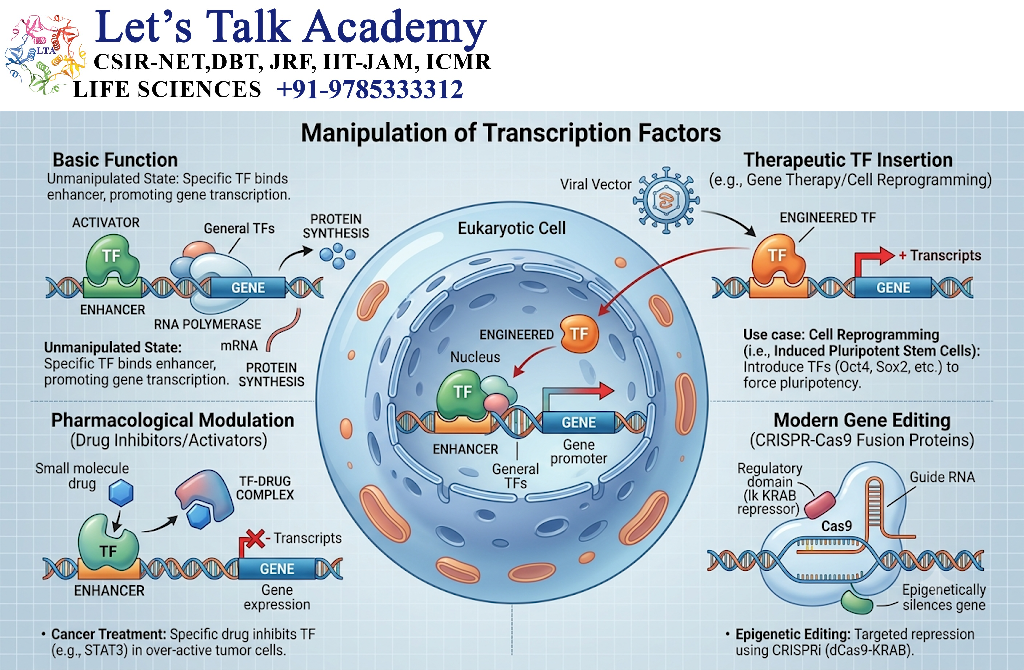 Manipulation of Transcription Factors